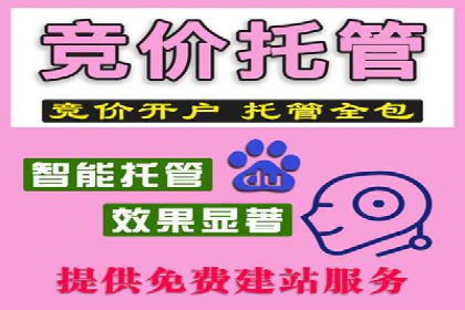 百度SEO推广案例：实战解析与优化建议